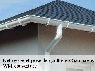 Nettoyage et pose de gouttière  champagny-21440 WM couverture