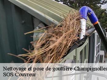 Nettoyage et pose de gouttière