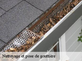 Nettoyage et pose de gouttière