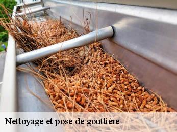 Nettoyage et pose de gouttière
