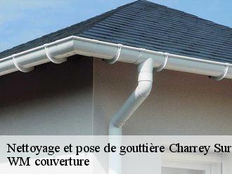 Nettoyage et pose de gouttière charrey-sur-saone-21170 WM couverture