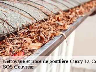 Nettoyage et pose de gouttière  cussy-la-colonne-21360 SOS Couvreur