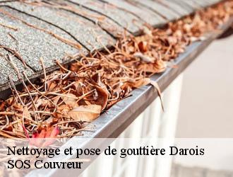 Nettoyage et pose de gouttière  darois-21121 SOS Couvreur