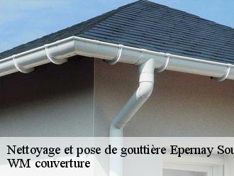 Nettoyage et pose de gouttière  epernay-sous-gevrey-21220 WM couverture