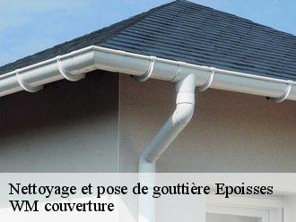 Nettoyage et pose de gouttière  epoisses-21460 WM couverture