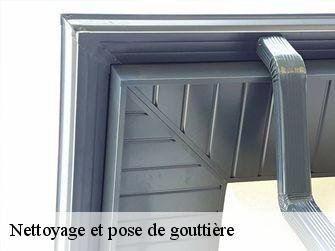 Nettoyage et pose de gouttière