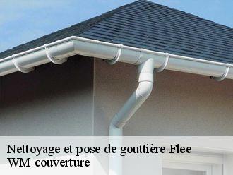 Nettoyage et pose de gouttière  flee-21140 WM couverture