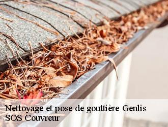 Nettoyage et pose de gouttière genlis-21110 SOS Couvreur