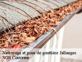 Nettoyage et pose de gouttière  jallanges-21250 SOS Couvreur