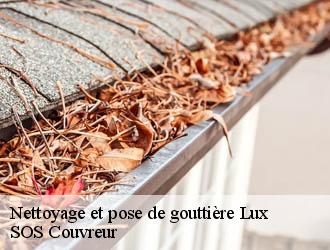 Nettoyage et pose de gouttière lux-21120 SOS Couvreur