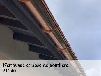 Nettoyage et pose de gouttière 21140