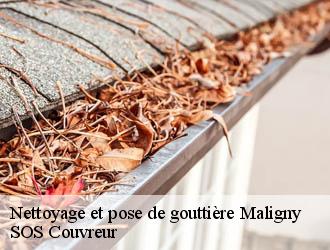 Nettoyage et pose de gouttière maligny-21230 SOS Couvreur