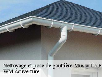 Nettoyage et pose de gouttière  mussy-la-fosse-21150 WM couverture