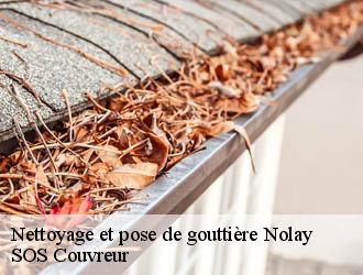 Nettoyage et pose de gouttière nolay-21340 SOS Couvreur