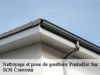Nettoyage et pose de gouttière 21270