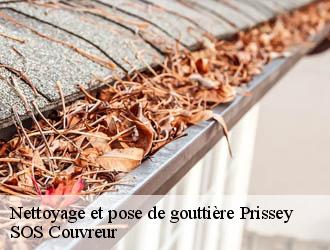 Nettoyage et pose de gouttière prissey-21700 SOS Couvreur