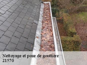 Nettoyage et pose de gouttière