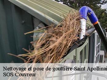 Nettoyage et pose de gouttière
