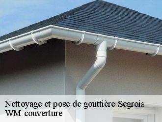 Nettoyage et pose de gouttière segrois-21220 WM couverture