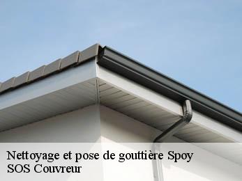 Nettoyage et pose de gouttière  21120