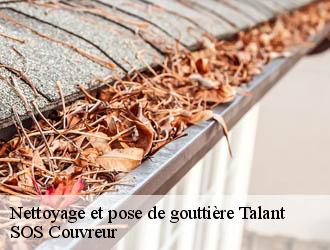 Nettoyage et pose de gouttière talant-21240 SOS Couvreur