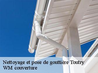 Nettoyage et pose de gouttière  21460