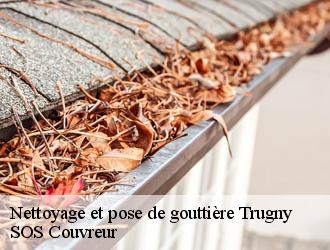 Nettoyage et pose de gouttière trugny-21250 SOS Couvreur