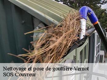 Nettoyage et pose de gouttière