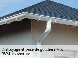 Nettoyage et pose de gouttière  vix-21400 WM couverture