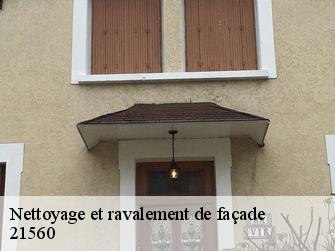 Nettoyage et ravalement de façade  21560