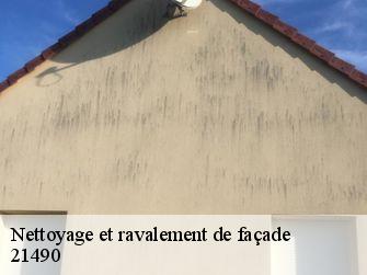 Nettoyage et ravalement de façade  21490