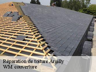 Réparation de toiture  argilly-21700 WM couverture
