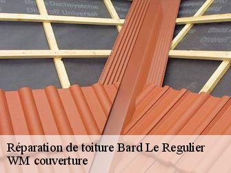 Réparation de toiture  21430