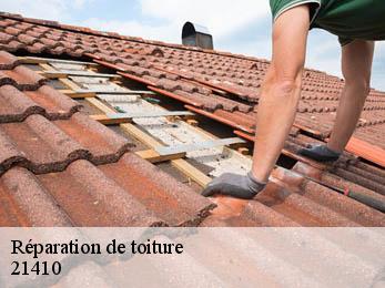 Réparation de toiture 21410