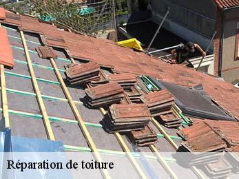 Réparation de toiture 21410