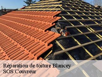 Réparation de toiture blancey-21320 SOS Couvreur