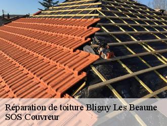 Réparation de toiture  bligny-les-beaune-21200 SOS Couvreur