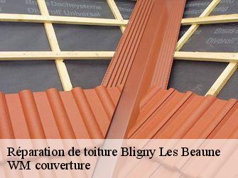 Réparation de toiture 21200