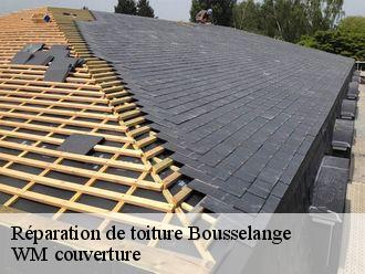 Réparation de toiture  bousselange-21250 WM couverture