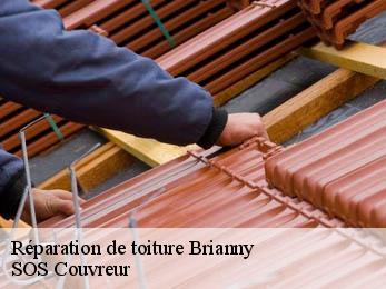 Réparation de toiture 21390