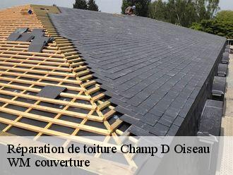 Réparation de toiture  champ-d-oiseau-21500 WM couverture