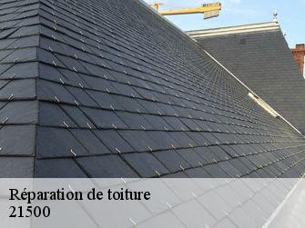 Réparation de toiture  21500