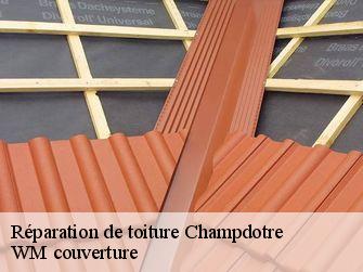 Réparation de toiture 21130