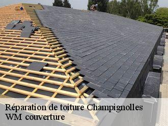 Réparation de toiture  champignolles-21230 WM couverture