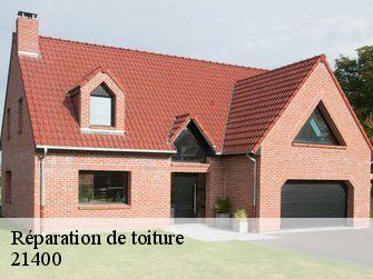 Réparation de toiture  21400