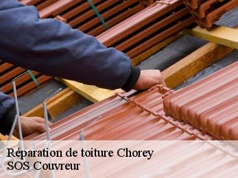Réparation de toiture  21200