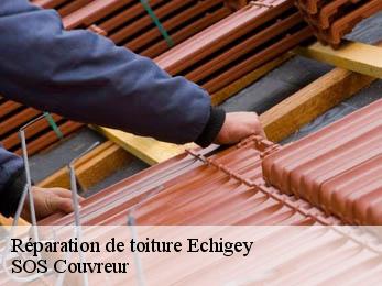 Réparation de toiture 21110
