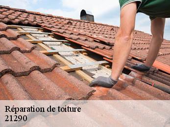 Réparation de toiture 21290
