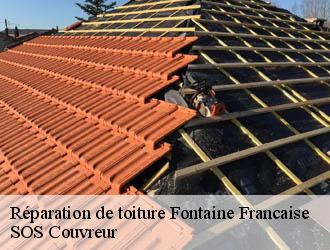 Réparation de toiture fontaine-francaise-21610 SOS Couvreur