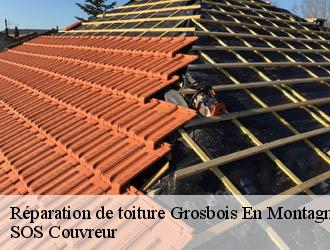 Réparation de toiture  grosbois-en-montagne-21540 SOS Couvreur